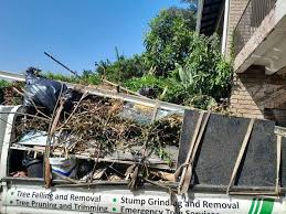 Shed Removal in Tanque Verde, AZ